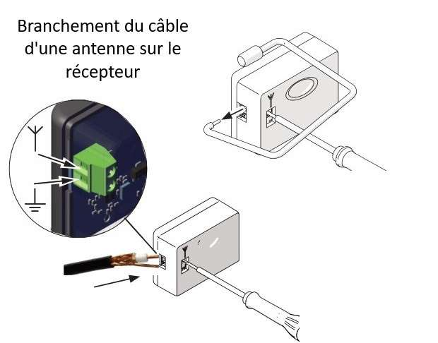 Schéma du branchement du câble d'une antenne sur le récepteur : raccordement du fil d'âme et de la tresse sur le bornier vert