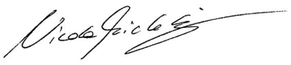 Signature de Nicola Michelin