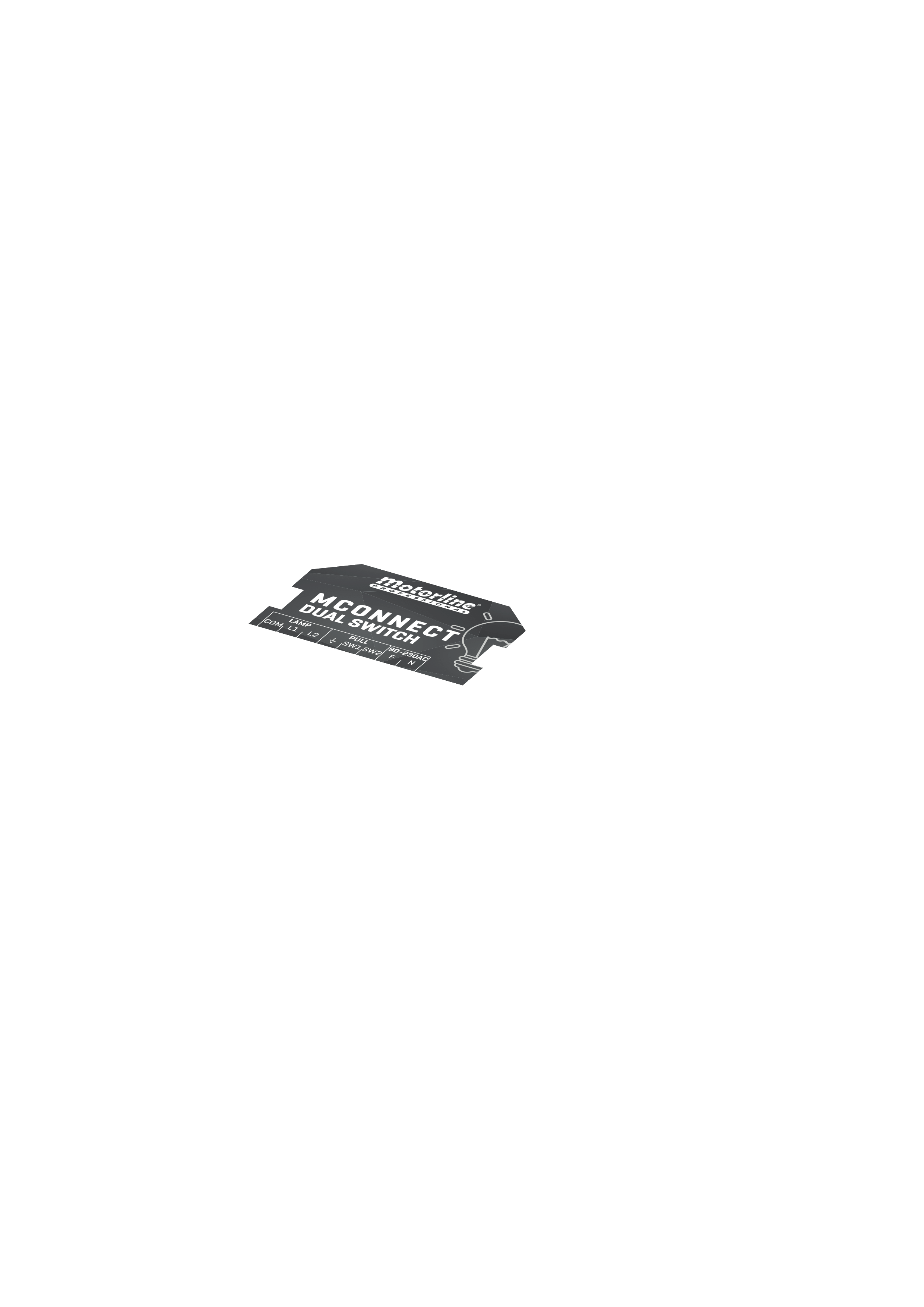 Module MCONNECT DUAL SWITCH avec ses bornes de connexion