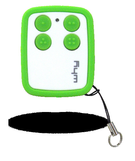 Télécommande WHY EVO verte, référence 4790833